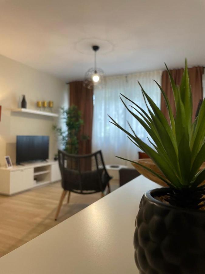 Apartamento Jerez 2022 Jerez de la Frontera Extérieur photo